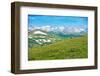 Colorado Panorama with Elks-duallogic-Framed Premium Photographic Print