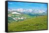 Colorado Panorama with Elks-duallogic-Framed Stretched Canvas