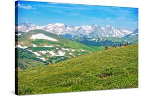 Colorado Panorama with Elks-duallogic-Stretched Canvas