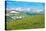 Colorado Panorama with Elks-duallogic-Stretched Canvas