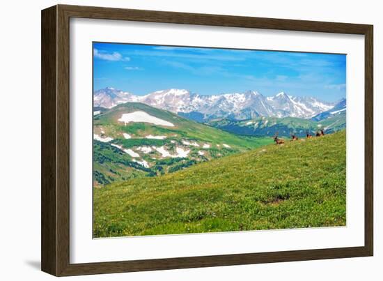 Colorado Panorama with Elks-duallogic-Framed Photographic Print