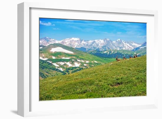 Colorado Panorama with Elks-duallogic-Framed Photographic Print