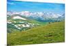 Colorado Panorama with Elks-duallogic-Mounted Photographic Print