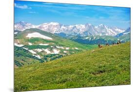 Colorado Panorama with Elks-duallogic-Mounted Photographic Print