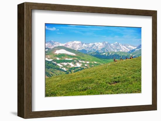 Colorado Panorama with Elks-duallogic-Framed Photographic Print