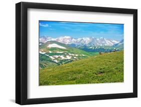 Colorado Panorama with Elks-duallogic-Framed Photographic Print