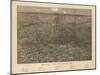 Colorado - Panoramic Map of Denver No. 2-Lantern Press-Mounted Art Print