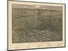 Colorado - Panoramic Map of Denver No. 2-Lantern Press-Mounted Art Print