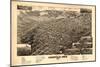 Colorado - Panoramic Map of Leadville No. 2-Lantern Press-Mounted Art Print