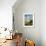 Colorado Plateau. Clouds over a Mesa in Early Autumn, Castle Valley-Judith Zimmerman-Framed Photographic Print displayed on a wall