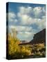 Colorado Plateau. Clouds over a Mesa in Early Autumn, Castle Valley-Judith Zimmerman-Stretched Canvas