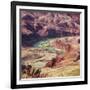 Colorado River as Seen from the Lipan Point, Grand Canyon National Park, Arizona, Usa-Rainer Mirau-Framed Photographic Print