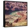 Colorado River as Seen from the Lipan Point, Grand Canyon National Park, Arizona, Usa-Rainer Mirau-Framed Stretched Canvas