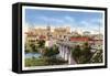 Colorado River Bridge, Austin, Texas-null-Framed Stretched Canvas