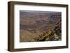 Colorado River, Desert View, South Rim, Grand Canyon NP, Arizona, USA-Michel Hersen-Framed Photographic Print