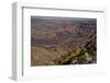 Colorado River, Desert View, South Rim, Grand Canyon NP, Arizona, USA-Michel Hersen-Framed Photographic Print