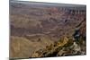 Colorado River, Desert View, South Rim, Grand Canyon NP, Arizona, USA-Michel Hersen-Mounted Photographic Print