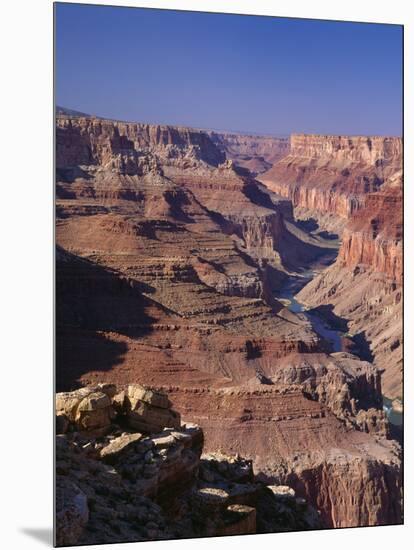 Colorado River Flowing Thru Marble Canyon, Grand Canyon NP, Arizona-Greg Probst-Mounted Photographic Print