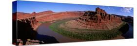 Colorado River from Dead Horse Point Canyonlands National Park Ut-null-Stretched Canvas
