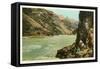 Colorado River, Grand Canyon-null-Framed Stretched Canvas