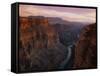 Colorado River in the Grand Canyon-Danny Lehman-Framed Stretched Canvas