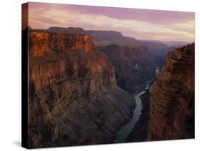 Colorado River in the Grand Canyon-Danny Lehman-Stretched Canvas
