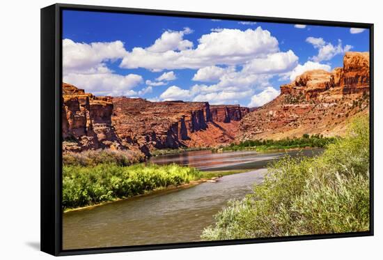 Colorado River Rock Canyon Reflection Green Grass outside Arches National Park Moab Utah-BILLPERRY-Framed Stretched Canvas