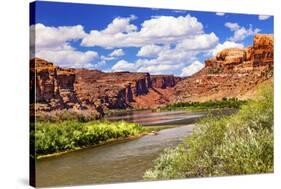 Colorado River Rock Canyon Reflection Green Grass outside Arches National Park Moab Utah-BILLPERRY-Stretched Canvas