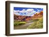 Colorado River Rock Canyon Reflection Green Grass outside Arches National Park Moab Utah-BILLPERRY-Framed Photographic Print