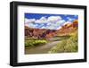 Colorado River Rock Canyon Reflection Green Grass outside Arches National Park Moab Utah-BILLPERRY-Framed Photographic Print