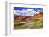 Colorado River Rock Canyon Reflection Green Grass outside Arches National Park Moab Utah-BILLPERRY-Framed Photographic Print