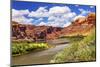 Colorado River Rock Canyon Reflection Green Grass outside Arches National Park Moab Utah-BILLPERRY-Mounted Photographic Print