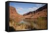 Colorado River, Utah, USA-Stefano Amantini-Framed Stretched Canvas