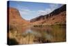 Colorado River, Utah, USA-Stefano Amantini-Stretched Canvas