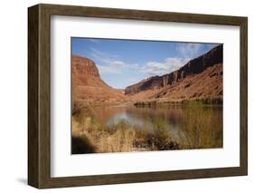 Colorado River, Utah, USA-Stefano Amantini-Framed Photographic Print