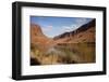 Colorado River, Utah, USA-Stefano Amantini-Framed Photographic Print