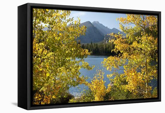 Colorado, Rocky Mountain National Park. Autumn Along Bear Lake and Longs Peak-Jaynes Gallery-Framed Stretched Canvas