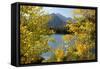 Colorado, Rocky Mountain National Park. Autumn Along Bear Lake and Longs Peak-Jaynes Gallery-Framed Stretched Canvas