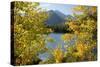 Colorado, Rocky Mountain National Park. Autumn Along Bear Lake and Longs Peak-Jaynes Gallery-Stretched Canvas