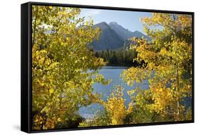 Colorado, Rocky Mountain National Park. Autumn Along Bear Lake and Longs Peak-Jaynes Gallery-Framed Stretched Canvas