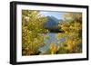 Colorado, Rocky Mountain National Park. Autumn Along Bear Lake and Longs Peak-Jaynes Gallery-Framed Photographic Print