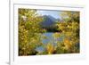 Colorado, Rocky Mountain National Park. Autumn Along Bear Lake and Longs Peak-Jaynes Gallery-Framed Photographic Print