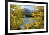 Colorado, Rocky Mountain National Park. Autumn Along Bear Lake and Longs Peak-Jaynes Gallery-Framed Photographic Print