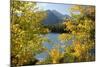 Colorado, Rocky Mountain National Park. Autumn Along Bear Lake and Longs Peak-Jaynes Gallery-Mounted Photographic Print