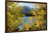 Colorado, Rocky Mountain National Park. Autumn Along Bear Lake and Longs Peak-Jaynes Gallery-Framed Photographic Print