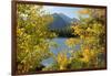 Colorado, Rocky Mountain National Park. Autumn Along Bear Lake and Longs Peak-Jaynes Gallery-Framed Photographic Print