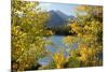 Colorado, Rocky Mountain National Park. Autumn Along Bear Lake and Longs Peak-Jaynes Gallery-Mounted Premium Photographic Print