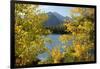 Colorado, Rocky Mountain National Park. Autumn Along Bear Lake and Longs Peak-Jaynes Gallery-Framed Premium Photographic Print