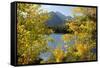 Colorado, Rocky Mountain National Park. Autumn Along Bear Lake and Longs Peak-Jaynes Gallery-Framed Stretched Canvas