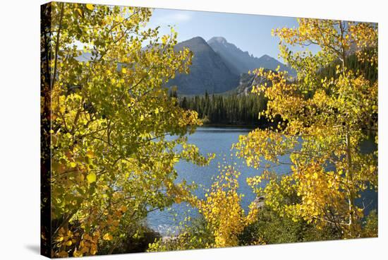 Colorado, Rocky Mountain National Park. Autumn Along Bear Lake and Longs Peak-Jaynes Gallery-Stretched Canvas